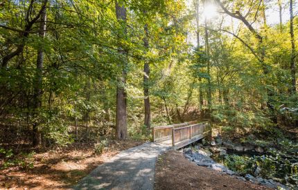 Nature Trail