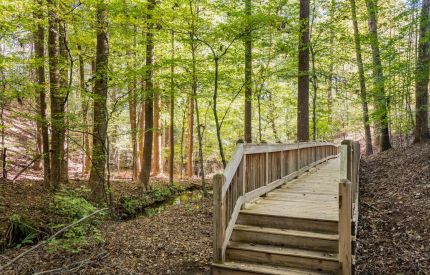 Nature Trail