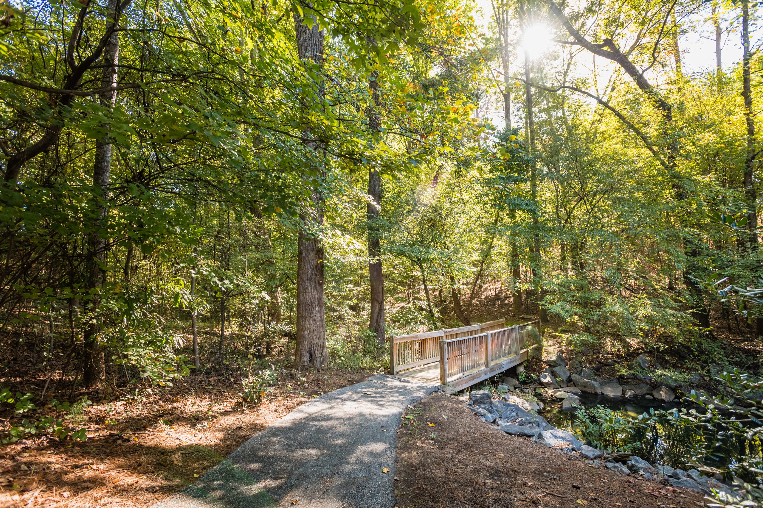Nature trail and footbridge at Mansell Overlook